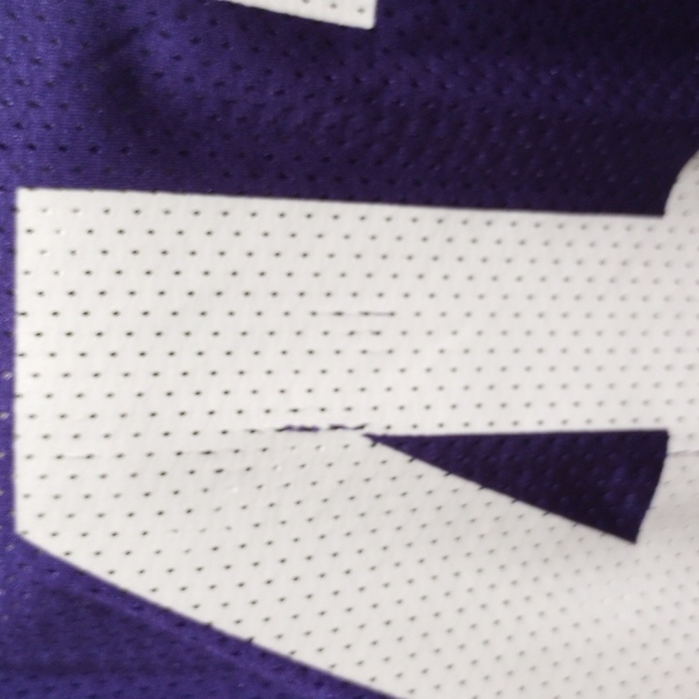 Reebok Throwback Jersey - image 2